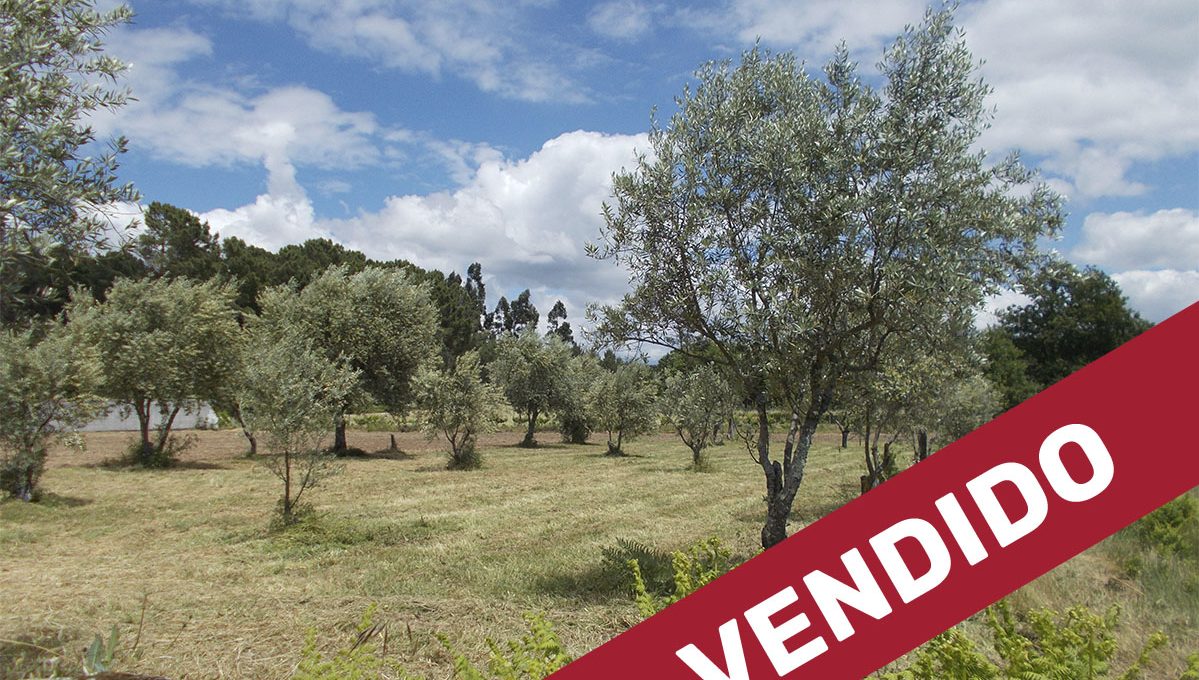 Reservado ou Vendido 1300px copiar