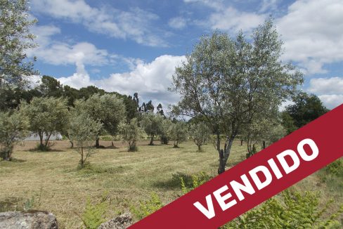Reservado ou Vendido 1300px copiar