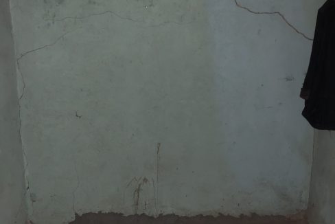 IMG_3446