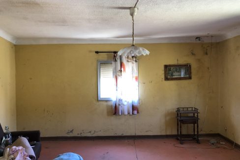 IMG_3450