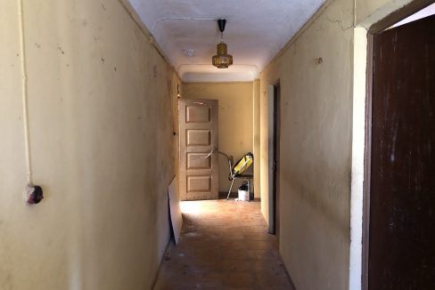 IMG_3453
