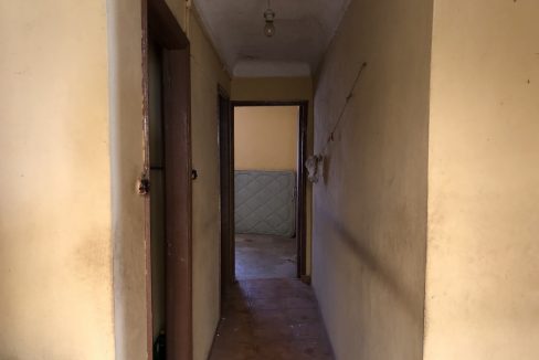IMG_3455