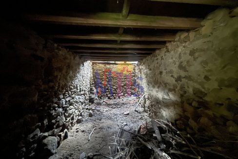 IMG_8496