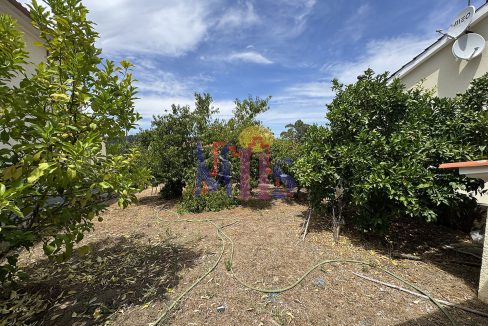 IMG_4947