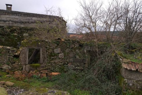 119148168_321116692530842_509029364869024656_n