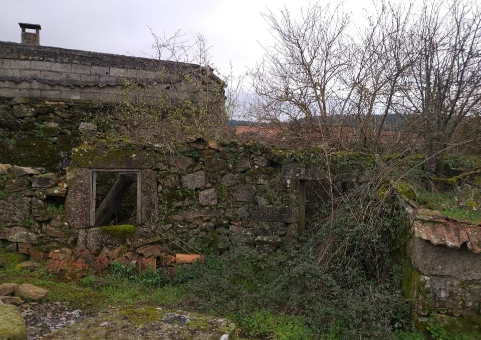 119148168_321116692530842_509029364869024656_n